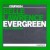 Buy Belle Lawrence - Evergreen (Single) Mp3 Download