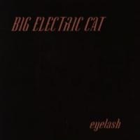 Purchase Big Electric Cat - Eyelash