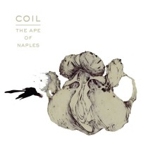 Purchase Coil - The Ape Of Naples