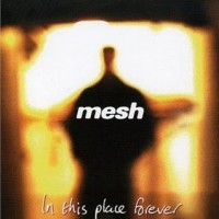 Purchase Mesh - In This Place Forever