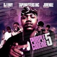 Purchase VA - Dj Envy & Tapemasters Inc. - Purple Codeine 5