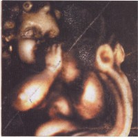 Purchase VA - The Ultimate Tribute To U2 (Cd 1)