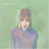 Purchase David Sylvian - Blemish