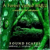Purchase A Forest Called Mulu - A Search For The Unexplored