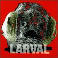 Purchase Larval - Larval