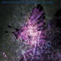 Purchase Oophoi - Dream 5 - A Flock Of Butterflies Descends Into A Zen Garden (Ep)