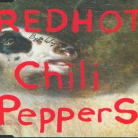 Purchase Red Hot Chili Peppers - By The Way (CDS) CD1
