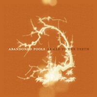 Purchase Abandoned Pools - Armed To the Teeth