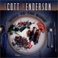 Purchase Scott Henderson - Well To The Bone