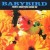 Buy Babybird - There's Something Going On Mp3 Download