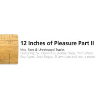 Purchase VA - 12 Inches of Pleasure Part 2