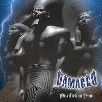Purchase Damaged - Purified In Pain