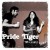 Buy Pride Tiger - The Lucky Ones Mp3 Download