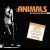 Buy Animals - Restrospective Mp3 Download
