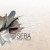 Buy Seba - Return to Forever Mp3 Download