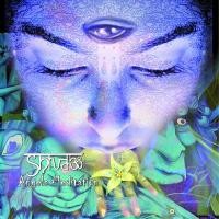 Purchase Shiva3 Project - Angels Meditation