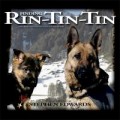 Purchase Stephen Edwards - Finding Rin-Tin-Tin Mp3 Download