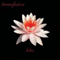 Purchase Tranzfusion - Lotus