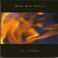 Purchase Wide Eye Panic - The Process