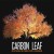 Buy Carbon Leaf - Nothing Rhymes With Woman Mp3 Download