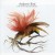 Buy Andrew Bird - Fitz And The Dizzyspells (EP) Mp3 Download