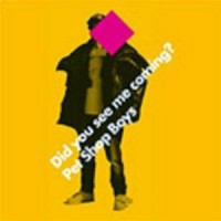 Purchase Pet Shop Boys - Did You See Me Coming (CDM)