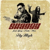 Purchase Shaggy - Fly High (feat. Gary Nesta Pine) (CDM)