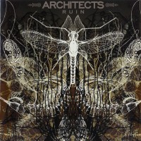 Purchase Architects - Ruin