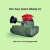 Buy The Boy Least Likely To - The Law Of The Playground Mp3 Download