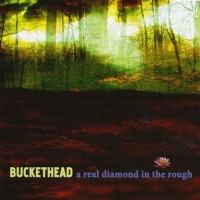 Purchase Buckethead - A Real Diamond In The Rough