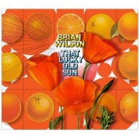 Purchase Brian Wilson - That Lucky Old Sun