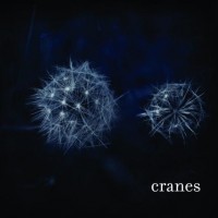 Purchase Cranes - Cranes