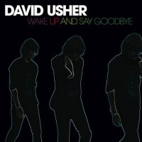 Purchase David Usher - Wake Up And Say Goodbye