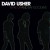 Purchase David Usher- Wake Up And Say Goodbye MP3