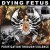 Buy Dying Fetus - Purification Through Violence Mp3 Download