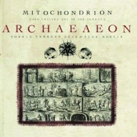Purchase Mitochondrion - Archaeaeon