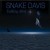 Buy Snake Davis - Talking Bird Mp3 Download