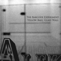 Purchase The Barcode Experiment - Yellow Ball, Glass Wall