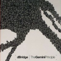 Purchase D Bridge - The Gemini Principle