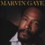 Purchase Marvin Gaye- Greatest Hits MP3