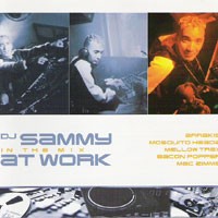 Purchase DJ Sammy - DJ Sammy At Work (In The Mix) CD1