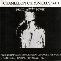 Purchase David Bowie - Chameleon Chronicles Volume 1