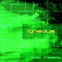 Purchase Igneous - Skip Insect