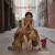 Buy Madeleine Peyroux - Careless Love Mp3 Download