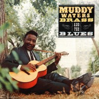 Purchase Muddy Waters - Brass And The Blues