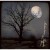 Buy Autumn Shade - Ezra Moon Mp3 Download