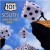 Buy 101 South - 101 South Mp3 Download