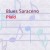 Buy Blues Saraceno - Plaid Mp3 Download