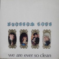 Purchase Blossom Toes - We Are Ever So Clean