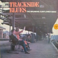 Purchase Brunning Hall Sunflower Blues Band - Trackside Blues